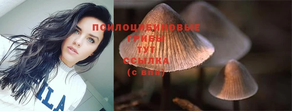 гидропоника Бородино