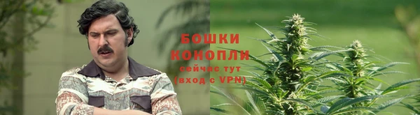 гидропоника Бородино