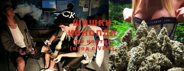 гидропоника Бородино