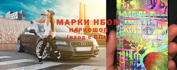 гидропоника Бородино