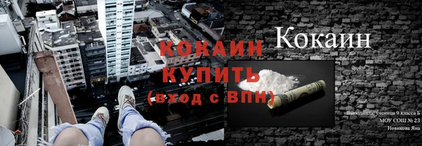 гидропоника Бородино
