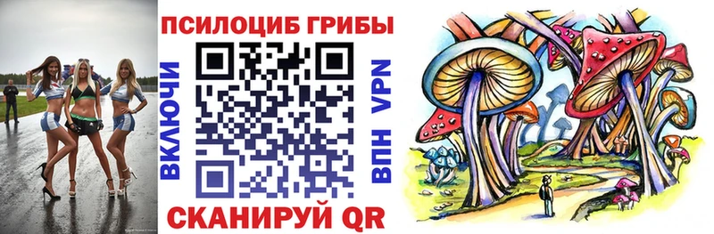 Псилоцибиновые грибы Magic Shrooms  Трубчевск 